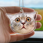 Custom Funny Face Gift For Family Pet Lovers - Personalized Photo Rear View Mirror Accessory