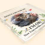 Don't Cry For Me Kitten Version - Personalized Acrylic Photo Plaque