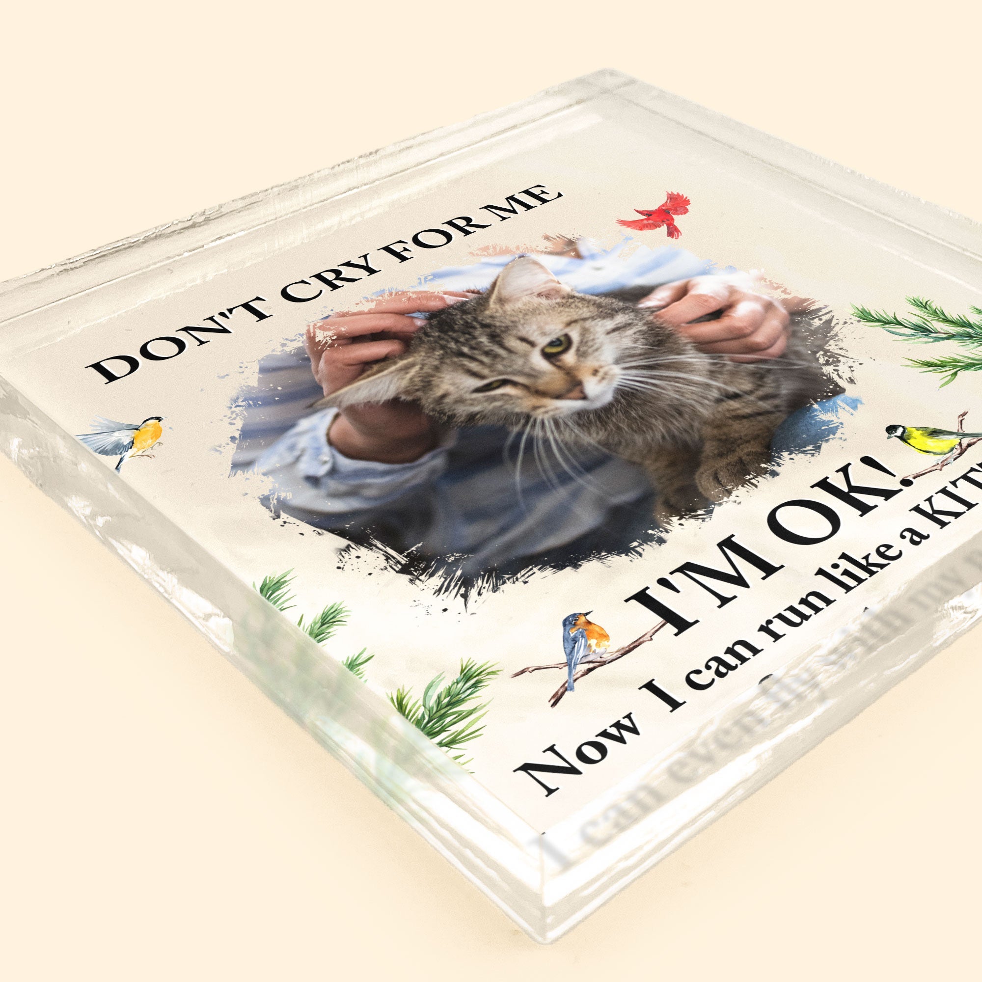 Don't Cry For Me Kitten Version - Personalized Acrylic Photo Plaque