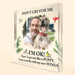 Don't Cry For Me - Personalized Acrylic Photo Plaque