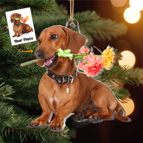 Funny Dog Gift For Dog Lovers - Personalized Acrylic Photo Ornament