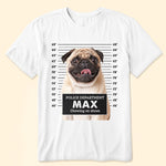 Funny Pet Face - Personalized Photo Shirt