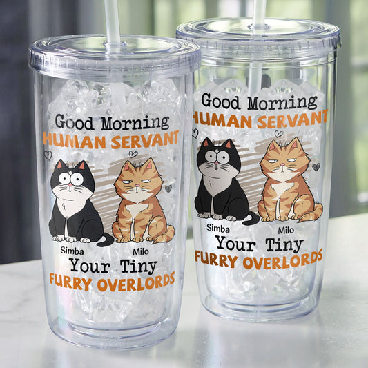 Good Morning Human Servant 2 - Personalized Acrylic Tumbler With Straw