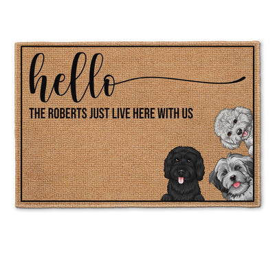 Hello Human - Personalized Doormat