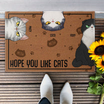 Hope You Like Cats - Personalized Doormat