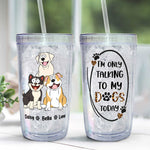 I'm Only Talking To My Dog Today - Personalized Acrylic Tumbler With Strawd Acrylic Insulated Tumbler
