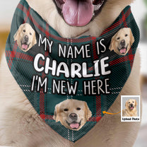 I'm New Here - Personalized Photo Dog Bandana Collar