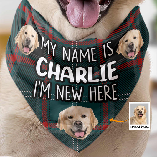 I'm New Here - Personalized Photo Dog Bandana Collar