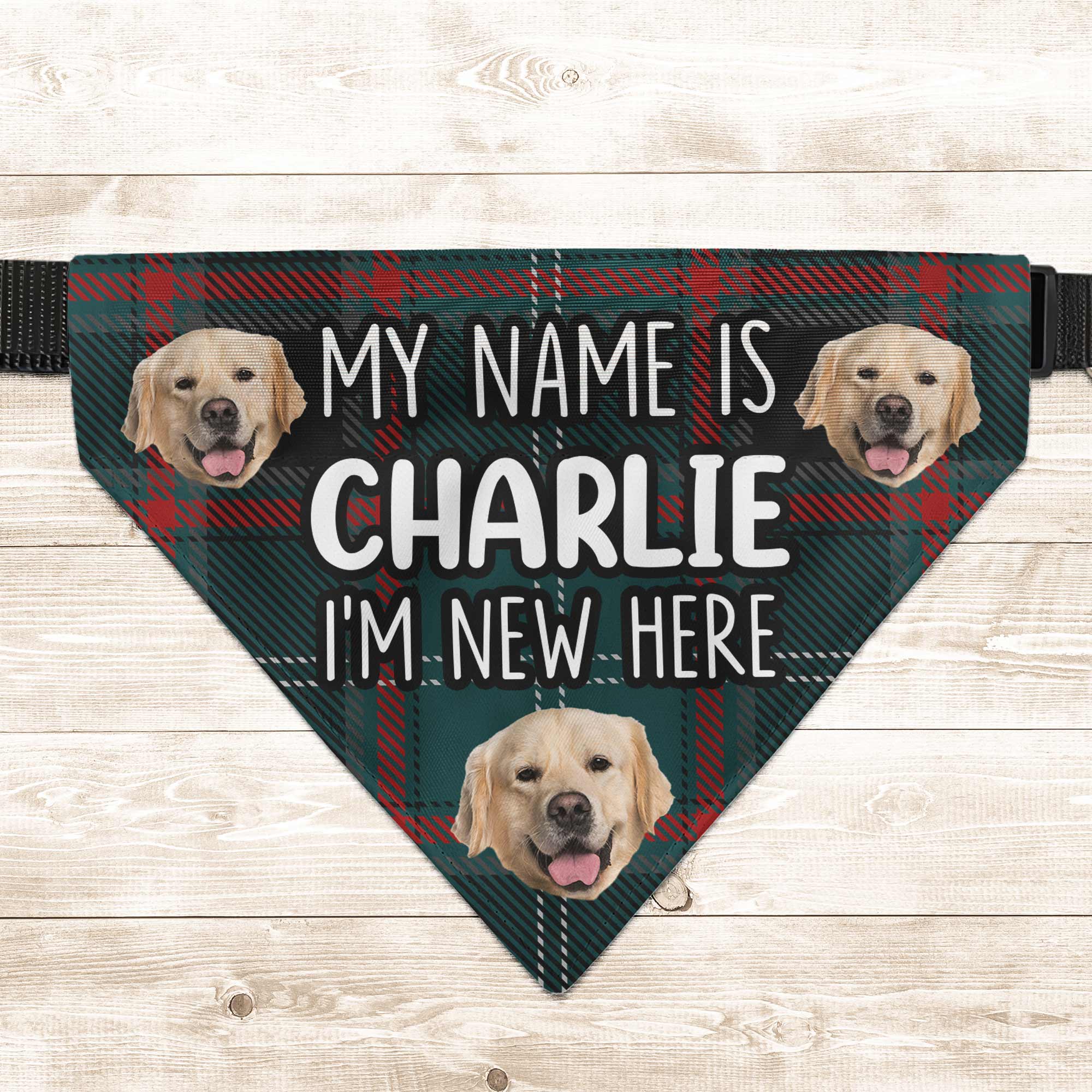 I'm New Here - Personalized Photo Dog Bandana Collar