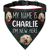 I'm New Here - Personalized Photo Dog Bandana Collar