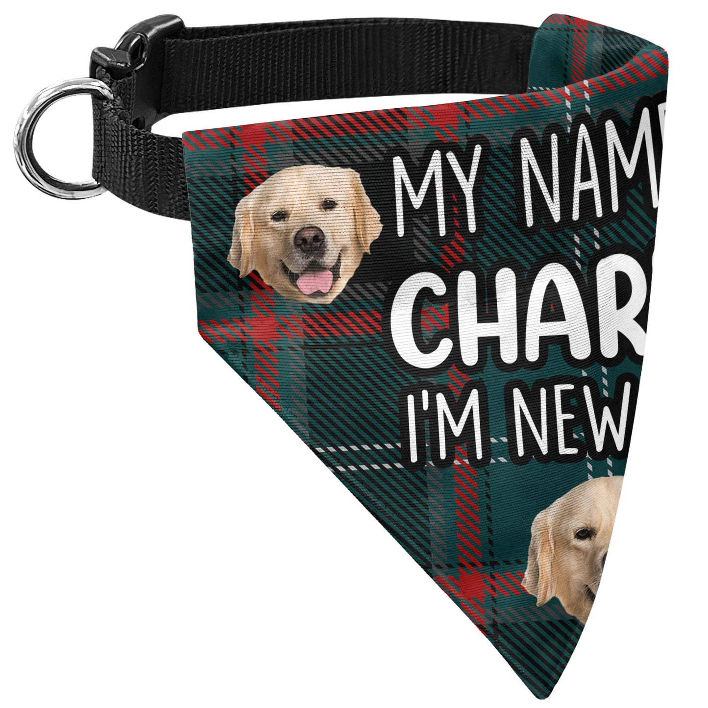 I'm New Here - Personalized Photo Dog Bandana Collar