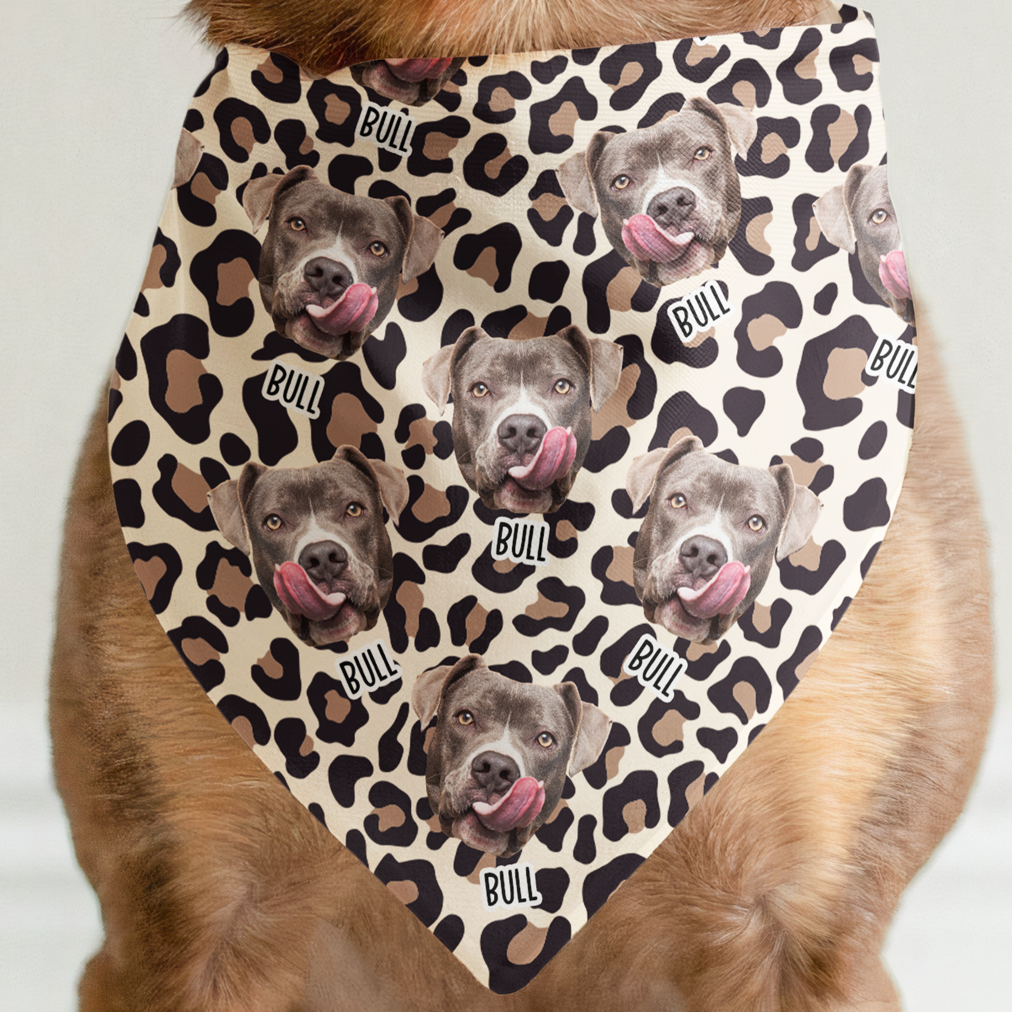 Leopard Dog Custom Face - Personalized Photo Dog Bandana Collar
