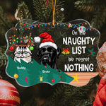 On The Naughty List We Regret Nothing  - Personalized Acrylic Ornament - Christmas, New Year Gift For Dog Mom, Dog Dad, Cat Mom, Cat Dad, Pet Owner