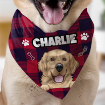 Dog Custom Face And Custom Name - Personalized Photo Bandana Collar