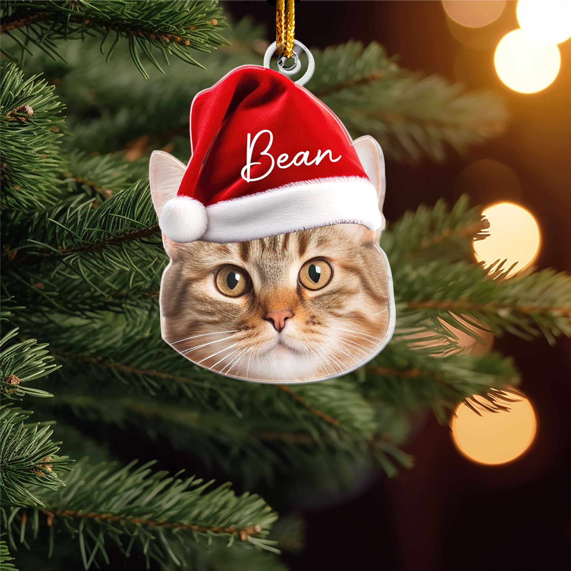 Pet Funny Christmas Face - Personalized Pet Photo Ornament