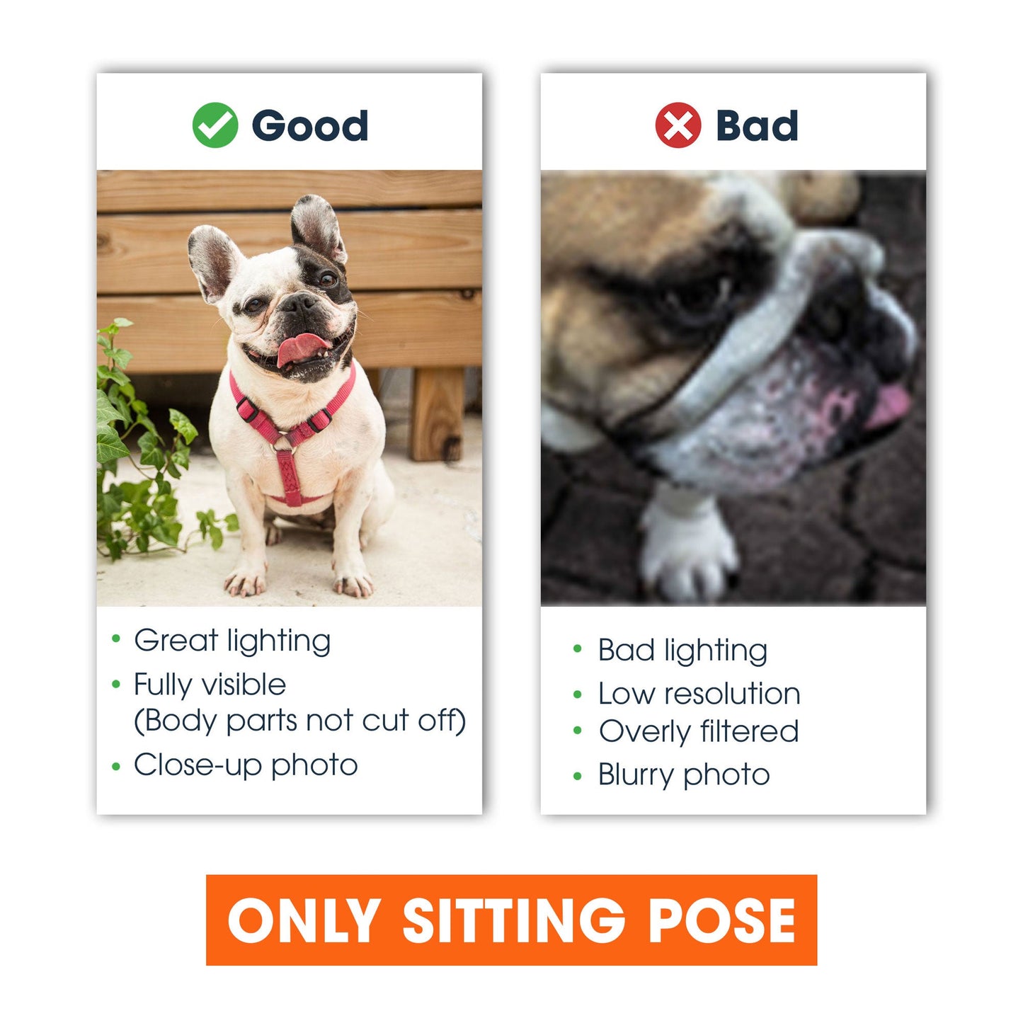 Spiral Dog Cat Doormat - Personalized Doormat - New House, Home Decor, Fall Season, Halloween Gift For Dog & Cat Lovers, Dog & Cat Owners