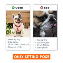 Spiral Dog Cat Doormat - Personalized Doormat - New House, Home Decor, Fall Season, Halloween Gift For Dog & Cat Lovers, Dog & Cat Owners