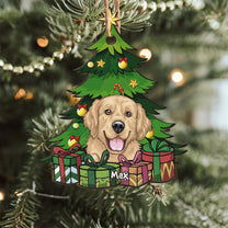 Pet Under Christmas Tree - Personalized Tree Shaped Wooden Ornament