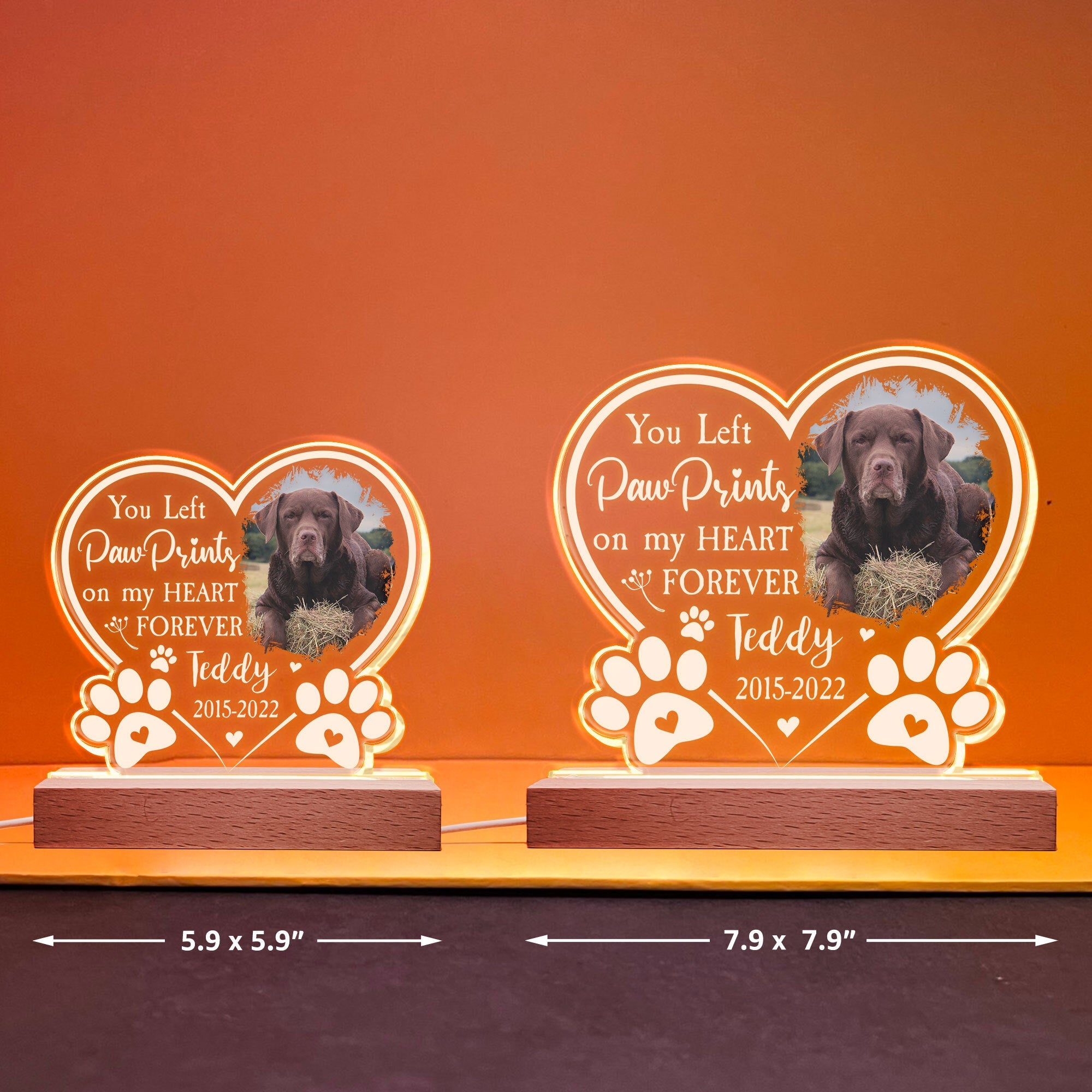 Paw Prints On My Heart - Personalized Photo LED Light