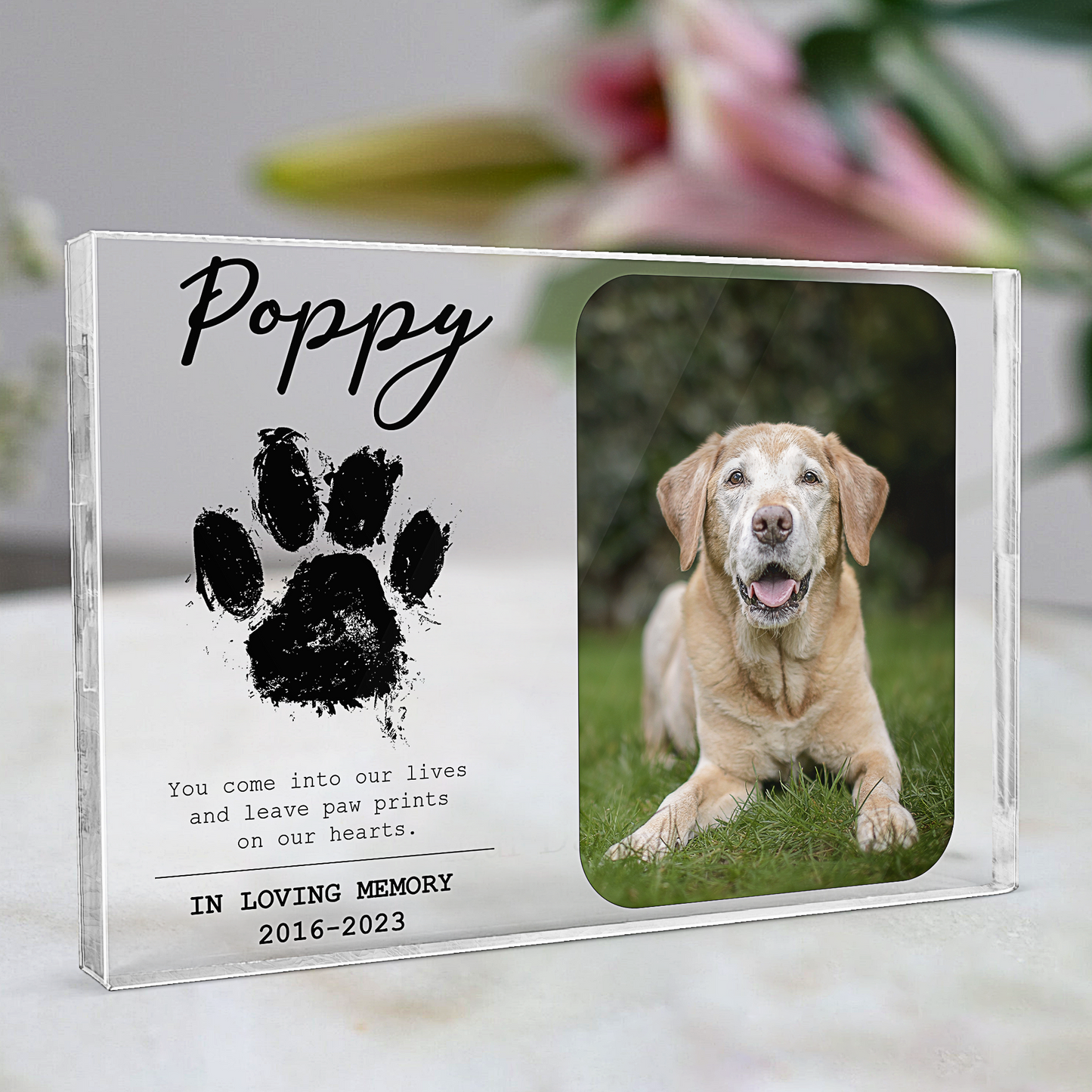 You Leave Paw Prints On Our Hearts - Personalized Photo Rectangle Acrylic Plaque