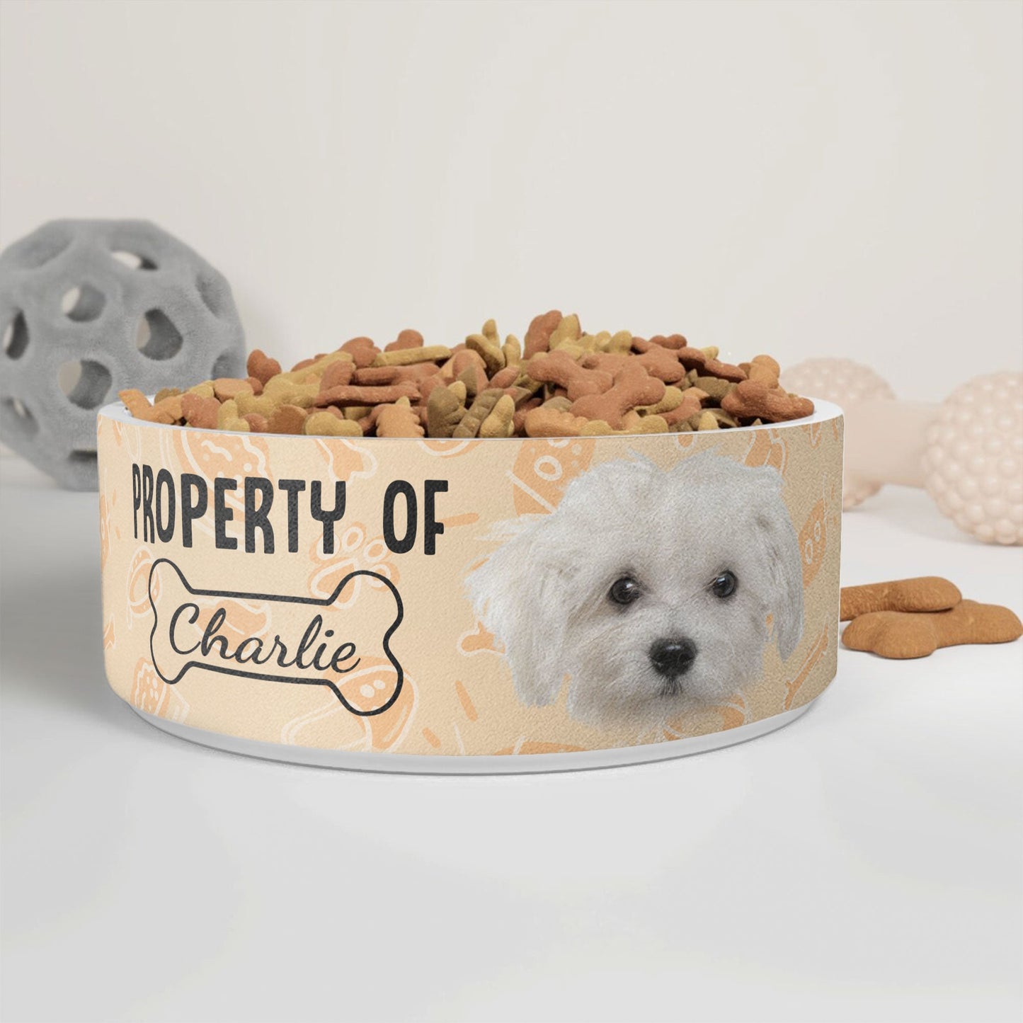 (Photo Inserted) Property Of My Dog/Cat - Personalized Pet Bowl