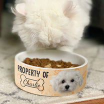 (Photo Inserted) Property Of My Dog/Cat - Personalized Pet Bowl