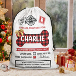Special Delivery For Good Dog - Personalized Christmas Sack