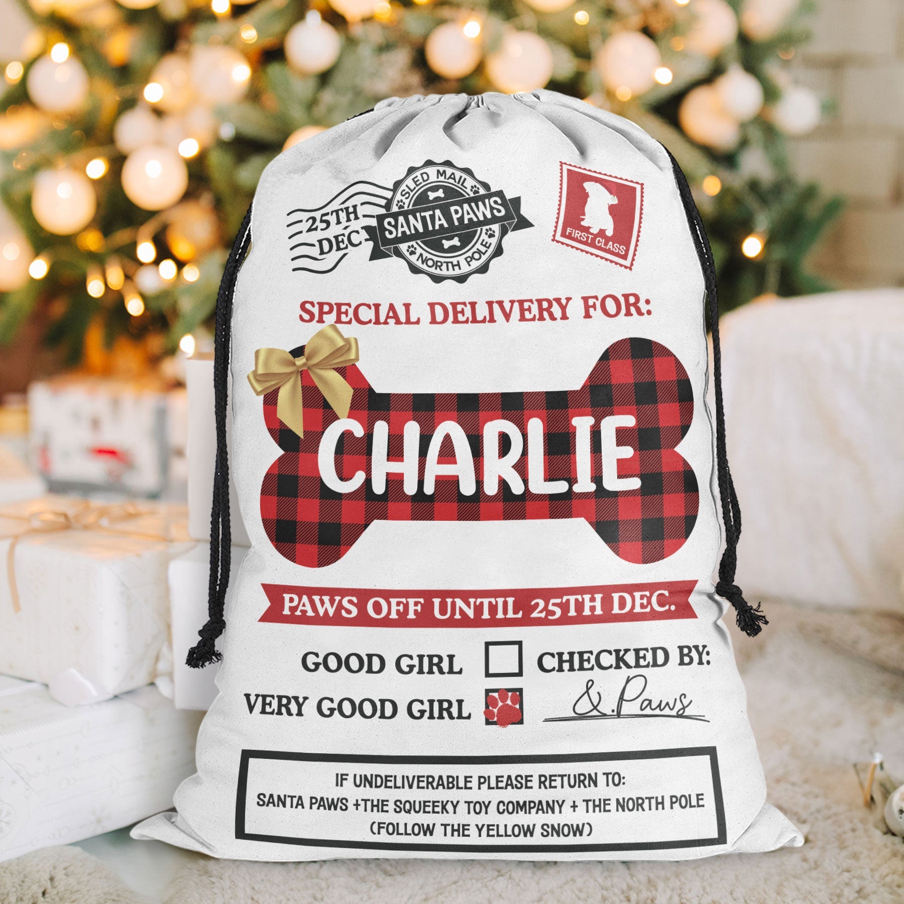 Special Delivery For Good Dog - Personalized Christmas Sack