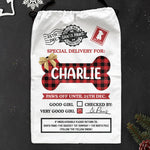 Special Delivery For Good Dog - Personalized Christmas Sack