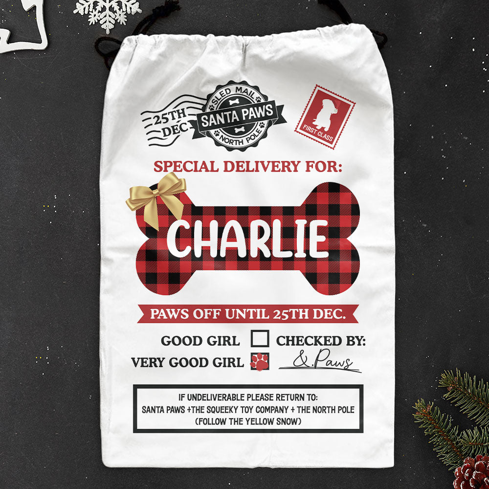 Special Delivery For Good Dog - Personalized Christmas Sack