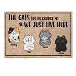 The Cats Are In Charge - Personalized Doormat