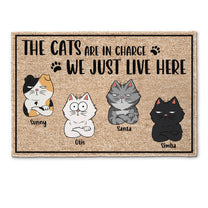 The Cats Are In Charge - Personalized Doormat