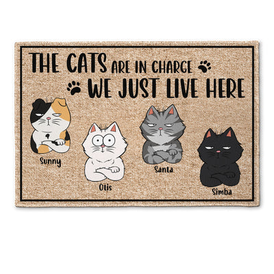 The Cats Are In Charge - Personalized Doormat