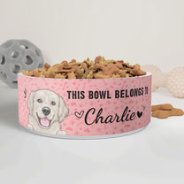 This Bowl Belongs To - Personalized Pet Bowl