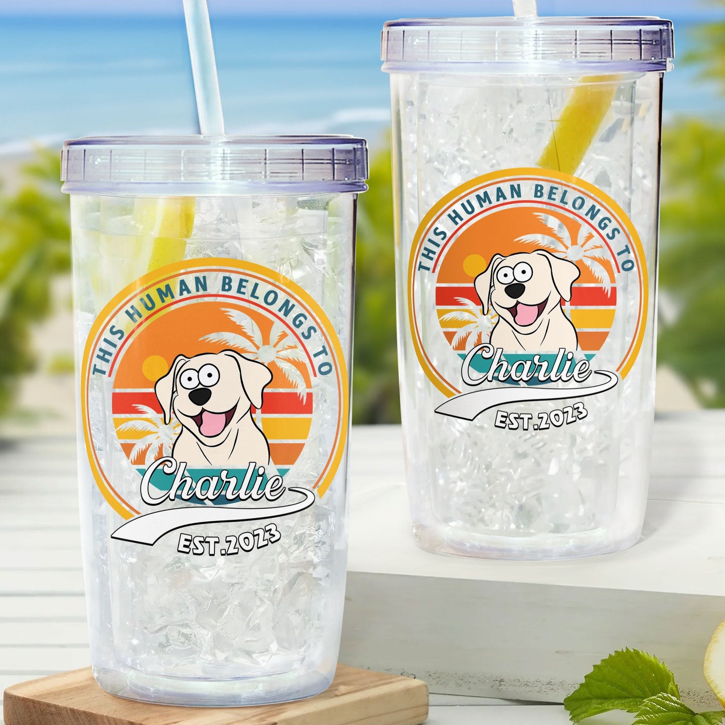 This Human Belongs To Dog - Personalized Acrylic Tumbler With Straw