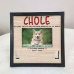 You Come Into Our Lives And Leave Pawprints - Personalized Photo Pet Loss Frame