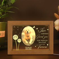 You Were My Favorite Hello And My Hardest Goodbye - Personalized Photo Frame Lamp