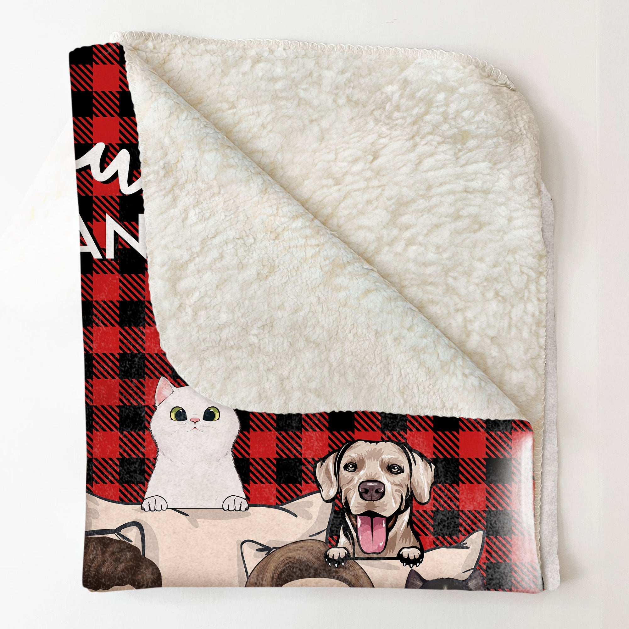 You & Me And The Dogs The Cats - Personalized Pet Blanket