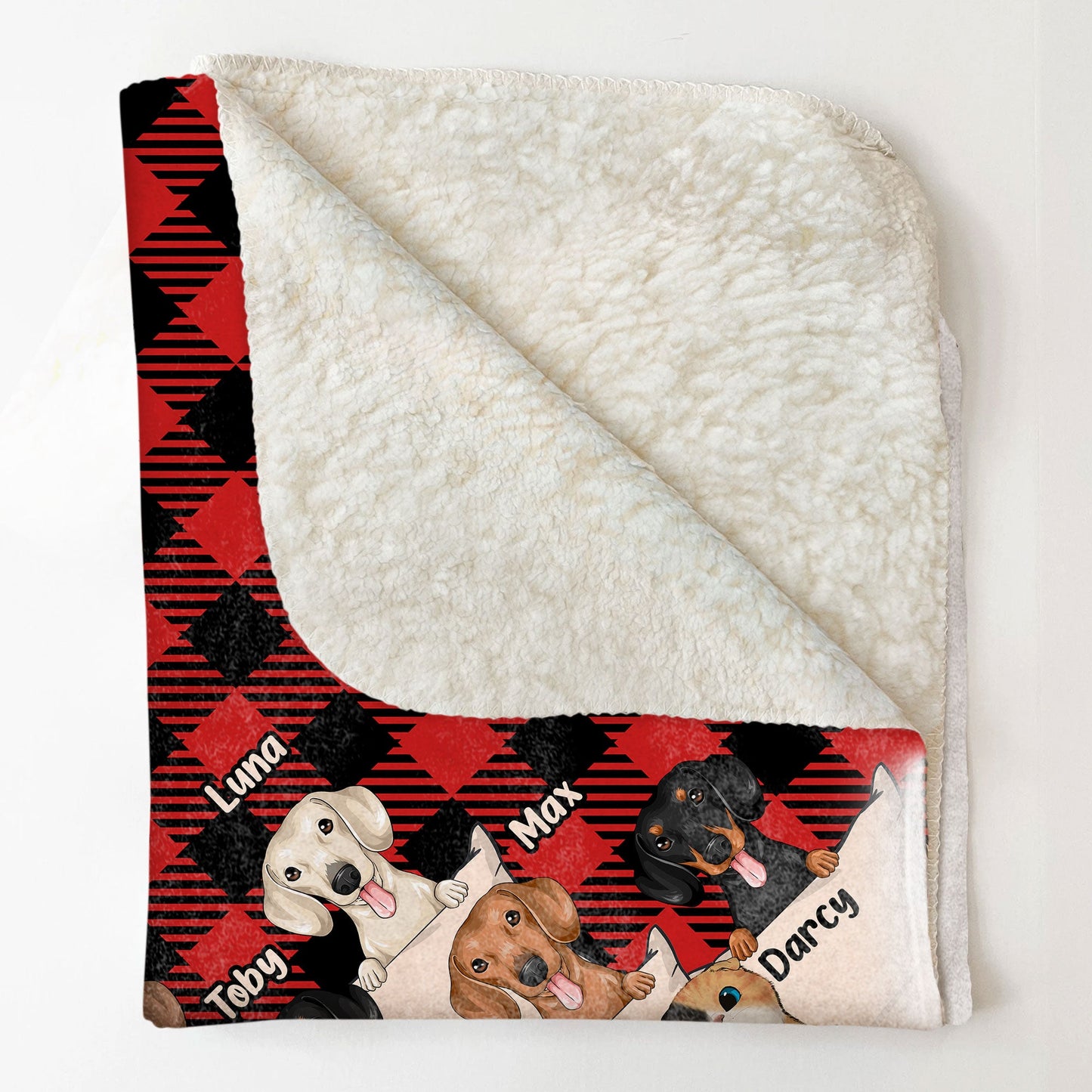 You & Me And The Dogs The Cats V2 - Personalized Blanket